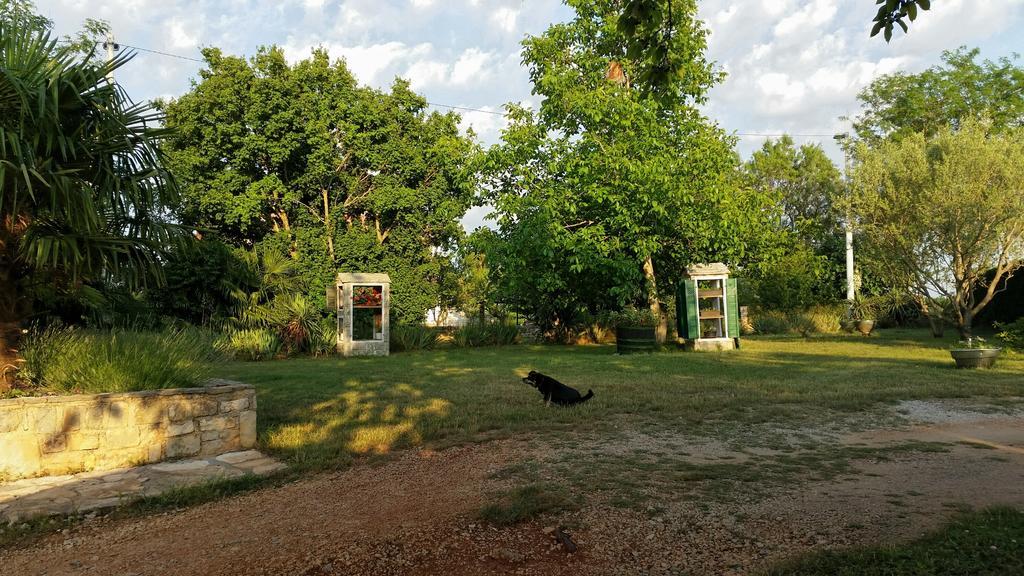 Davor * Umag