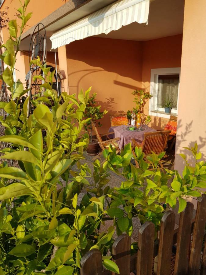 Apartment Davor Umag
